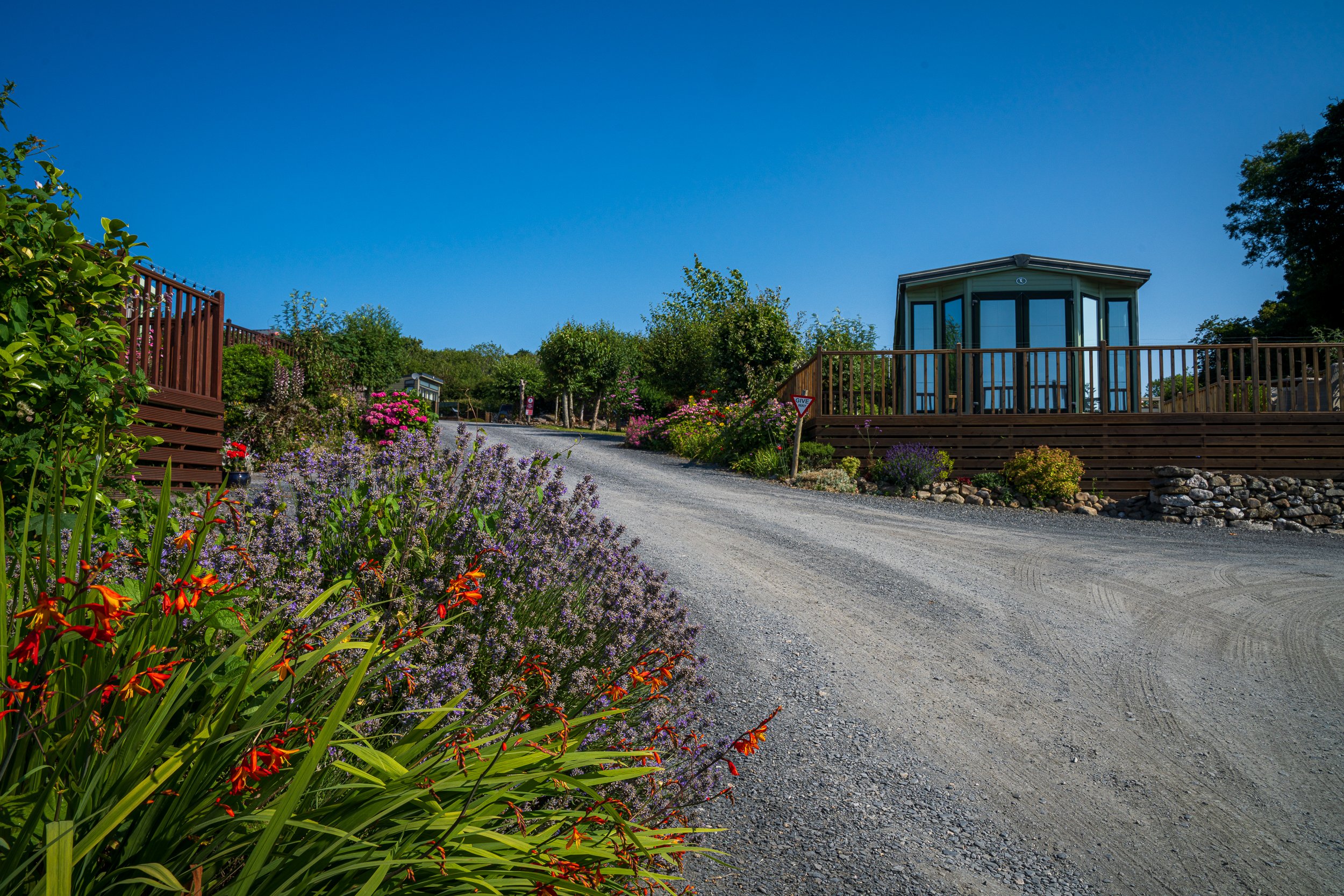 Colourful planting along a peaceful park road